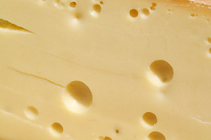 Lochung im Käse 2 Lochung beim milden Bergkäse