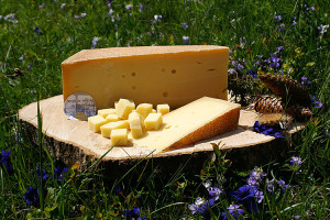 Bergkäse aus Vorarlberg 4 Bregenzerwälder Bergkäse würzig