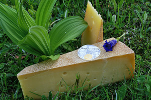 Bergkäse aus Vorarlberg 3 Bergkäse auf Alpenwiese