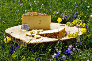 Heumilch.at Aktion: Wiesenblumen Samenbox - Ihre gratis Blumenwiese 2 Bregenzerwälder Blumenkäse