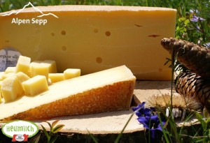 Die Käse Spezialität Bergkäse aus Österreich 2 Bregenzerwald Bergkäse würzig