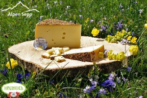 Vorteile von Heumilch und Heumilchwirtschaft bei Käse - mit Video 2 Bregenzerwälder Blümlekäse