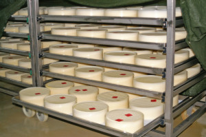 Rohmilchkäse 2 1 Tag alte Rohmilchkäse