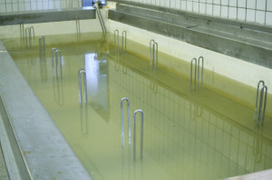 Rinde vom Käse 2 Salzbad für frische Laibe