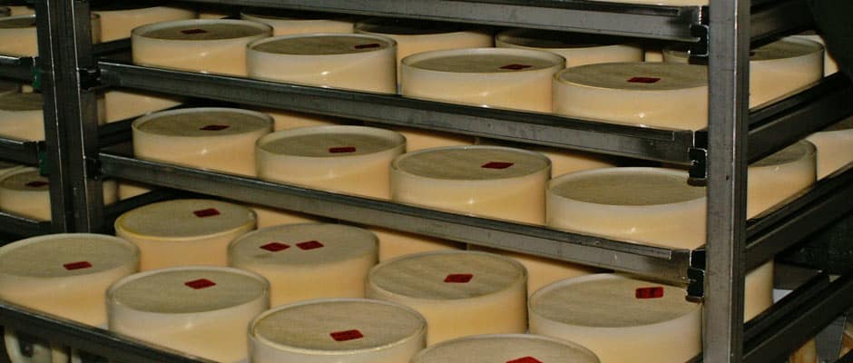 Käse Entwicklung Sennerei Bregenzerwald