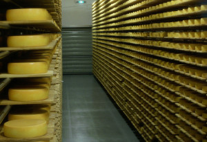 Online Alpen Käse kaufen 3 Käse aus dem Sennereikeller