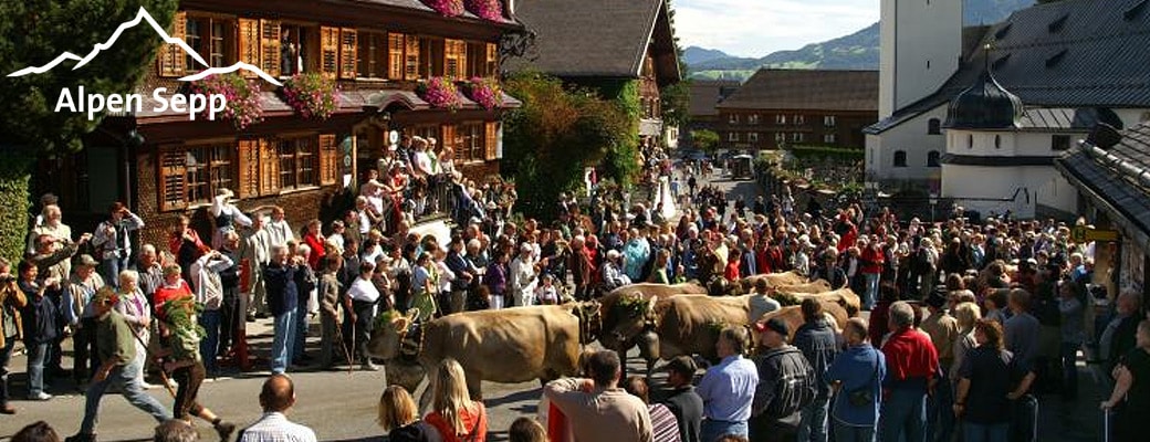 Alpabtrieb Schwarzenberg 2014
