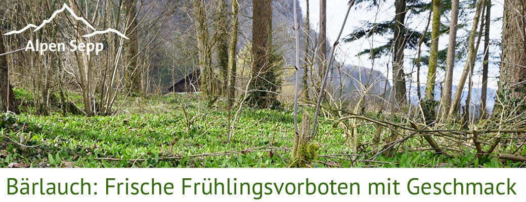 Bärlauch Käse Rezepte Frühling