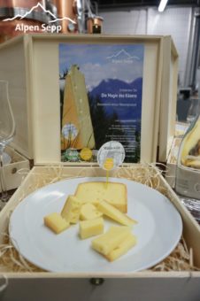Edelbrand Verkostung mit Käse