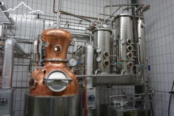Edelbrand Verkostung mit Käse