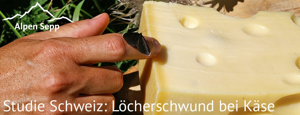 Käse Studie Schweiz Käselöcher