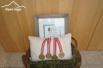 Kasermandl Käse Gewinnspiel 2015