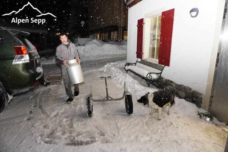 Frischmilch Anlieferung Sennerei