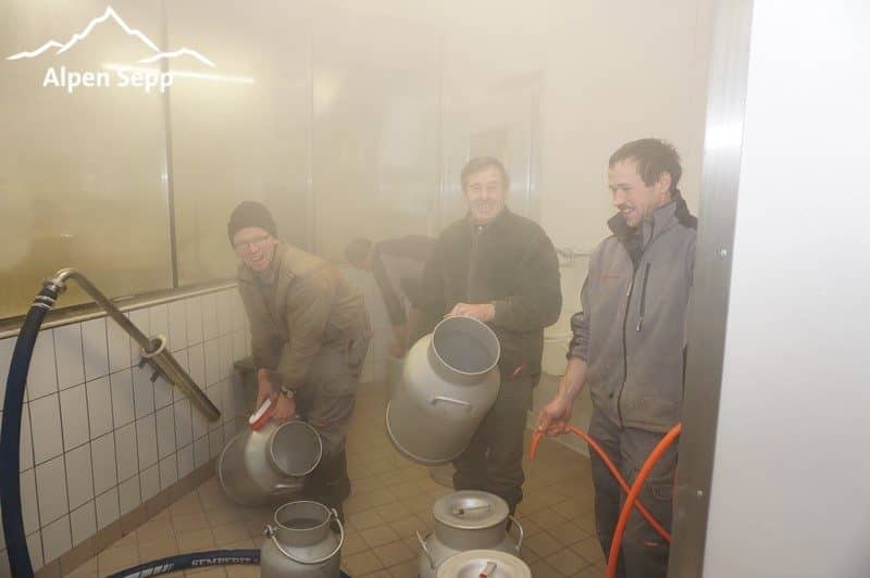 Frische Milch von den Auer Bauern um 7:00 morgens