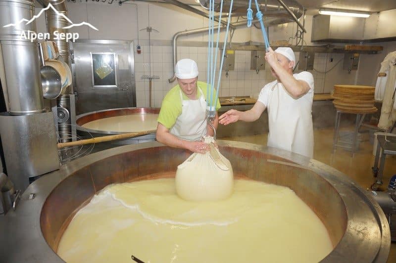 Entnahme des Käsebruchs