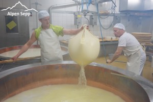 AlpenSepp 3.0 | Bergkäse Test Aktion - 2 kg 10 Käsebruch schöpfen