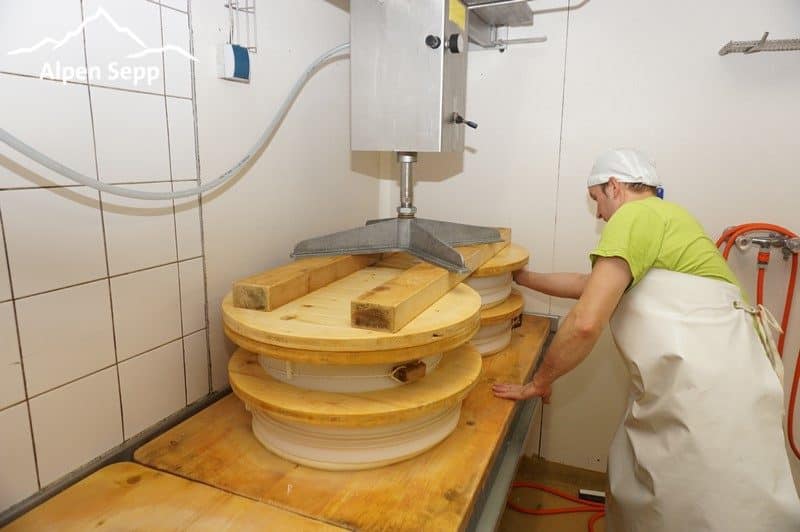 Bergkäse Pressen in Käseformen