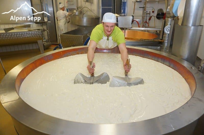 Erzeugen des Käsebruchs für Bergkäse