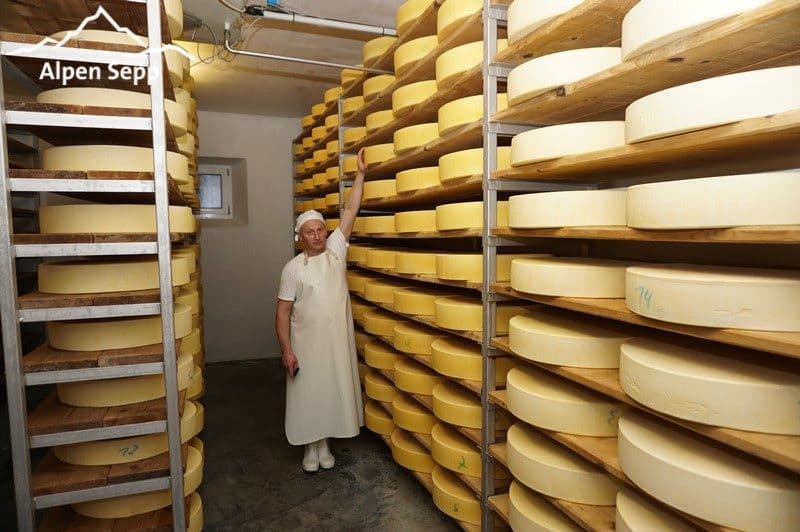 Bergkäse Reifekeller - Sennerei Rehmen - Bregenzerwald