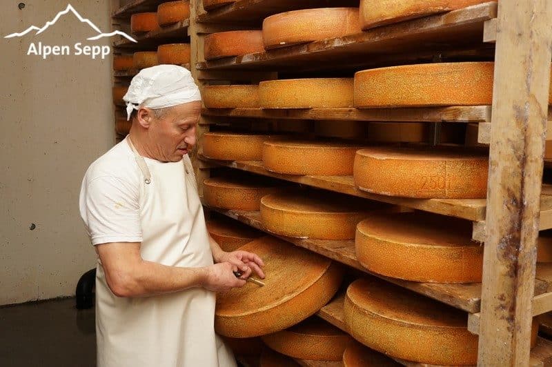 Prüfung Reifung von Bergkäse