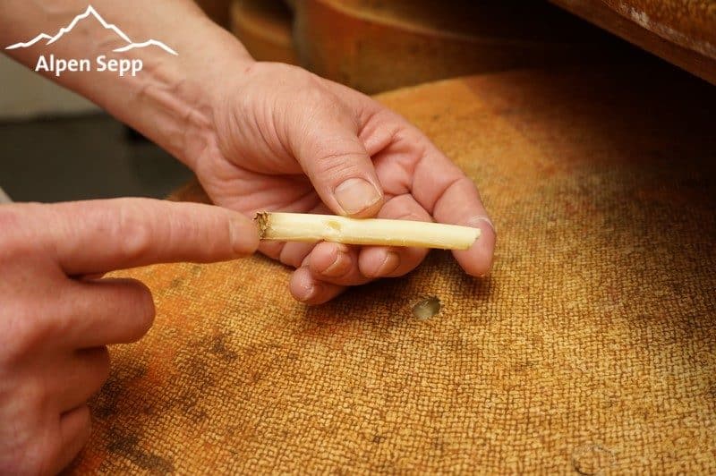 Teststück Bergkäse Reifung
