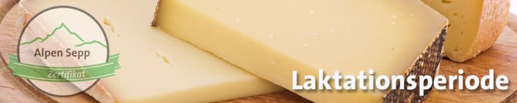 Laktationsperiode im Käse Wiki vom Alpen Sepp