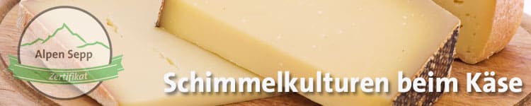 Schimmelkulturen im Käsewiki vom Alpen Sepp