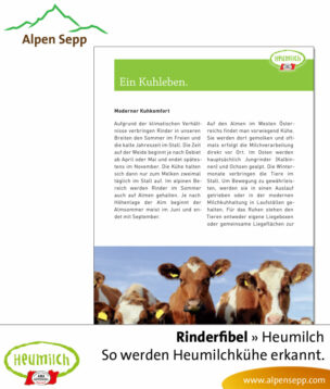 Fibel - Lesebuch: Woran man Heumilchkühe erkennen kann
