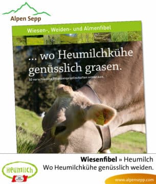 Fibel - Lesebuch: Wo heumilchkuehe genuesslich grasen