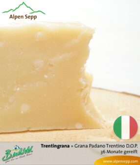 Käse Trentingrana - Grana Padano Trentino D.O.P. - 36 Monate gereift. Ähnlich Parmesan.