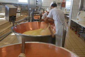 Produktion vom Trentingrana Grana Padano Trentino D.O.P.