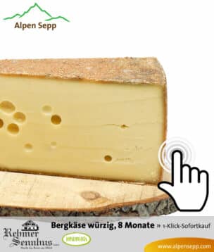 Bergkäse - würziger Geschmack - Sofortkauf