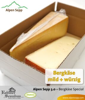Bergkäse Testbox - günstige Käsebox